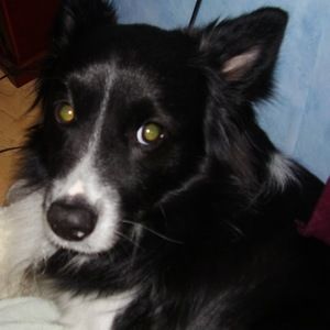 Meet your Posher, Ashford